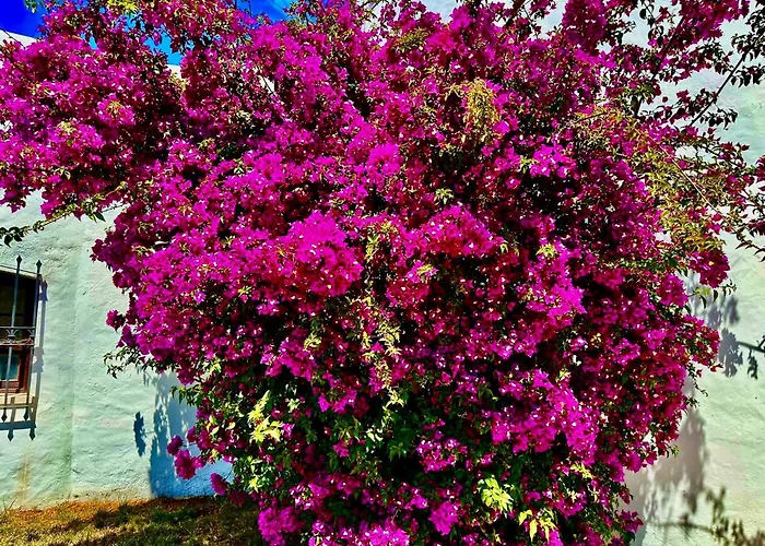 Solar Do Monte 1 * Albufeira